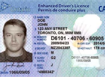 Fake Canadian Drivers License for Sale