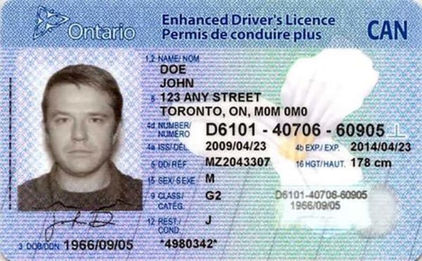 ontario drivers license template