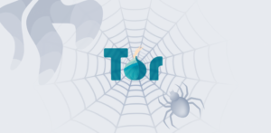 How to use tor browser